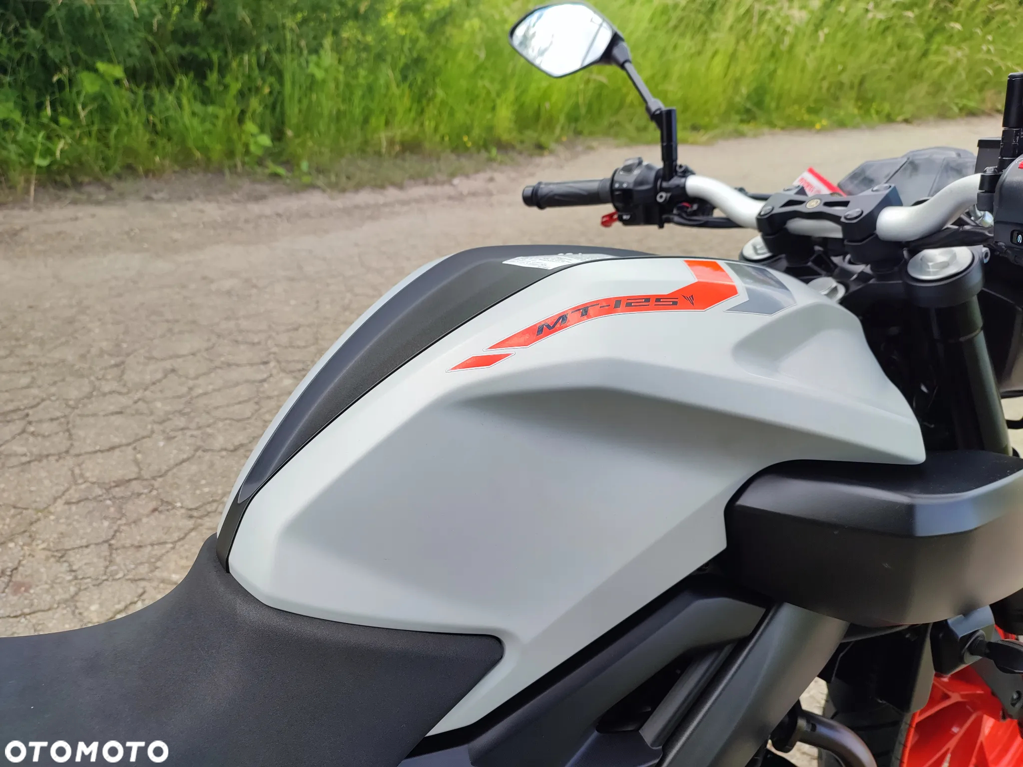 Yamaha MT - 6