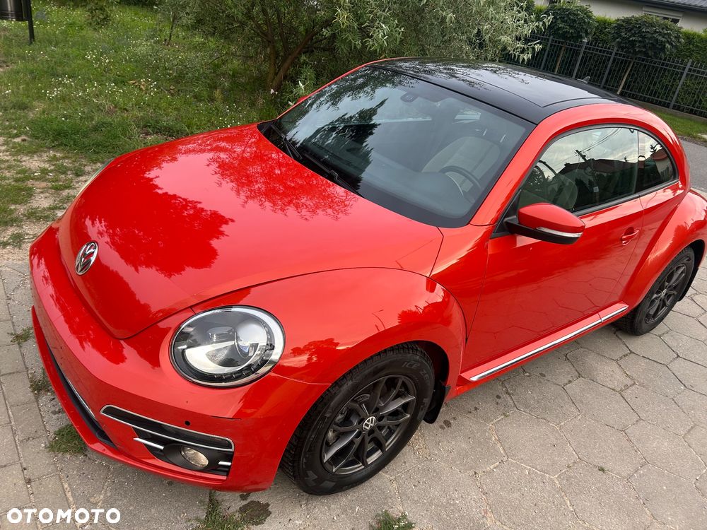 Volkswagen Beetle - 29