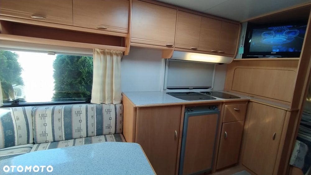 Wilk sport - 36