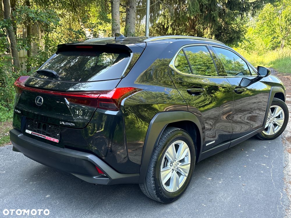 Lexus UX - 8