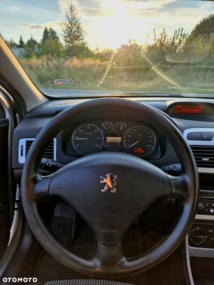Peugeot 307 - 8
