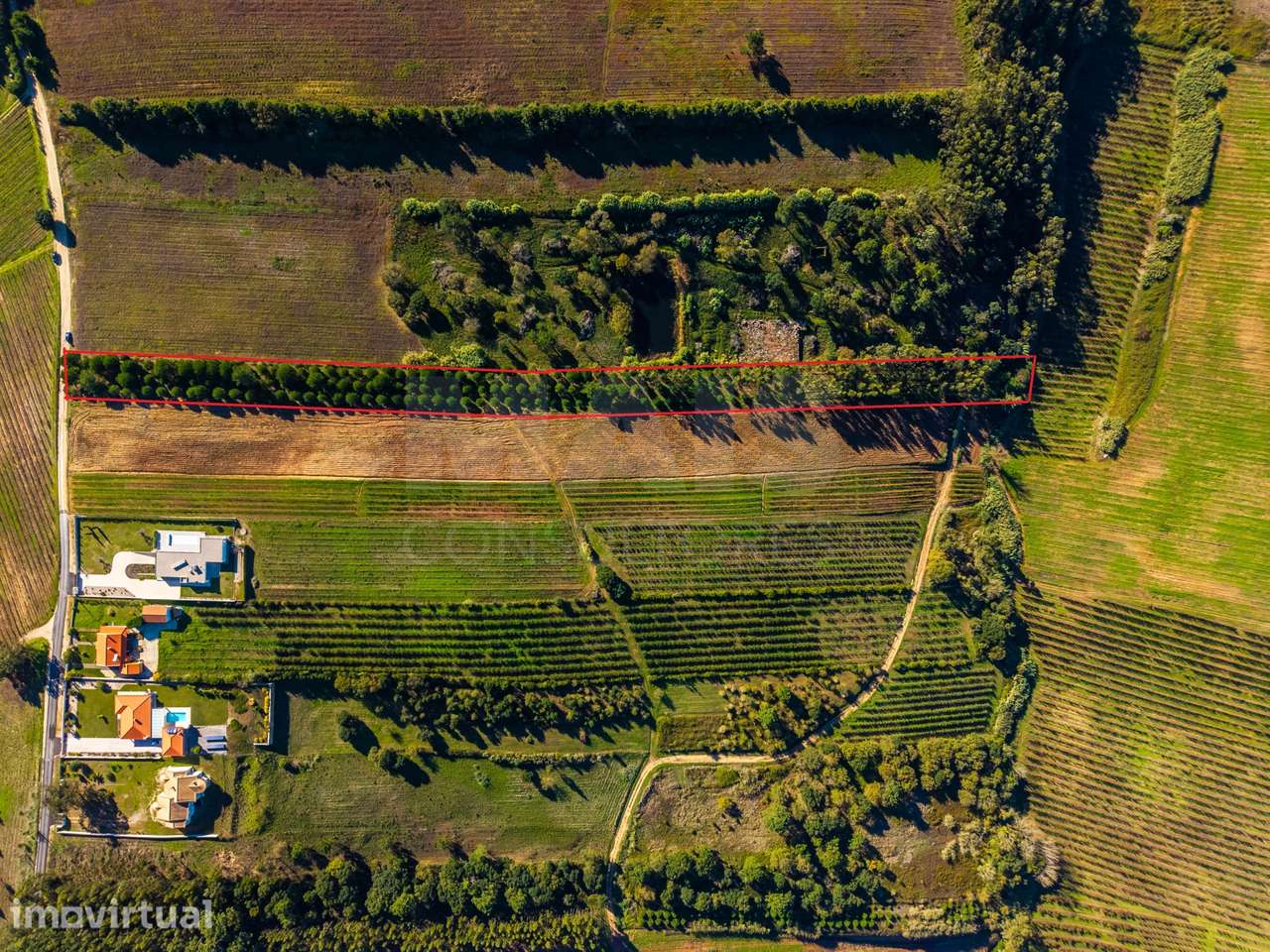 Terreno de 7240m2 com vista deslumbrante para a Serra do Montejunto - Grande imagem: 2/9