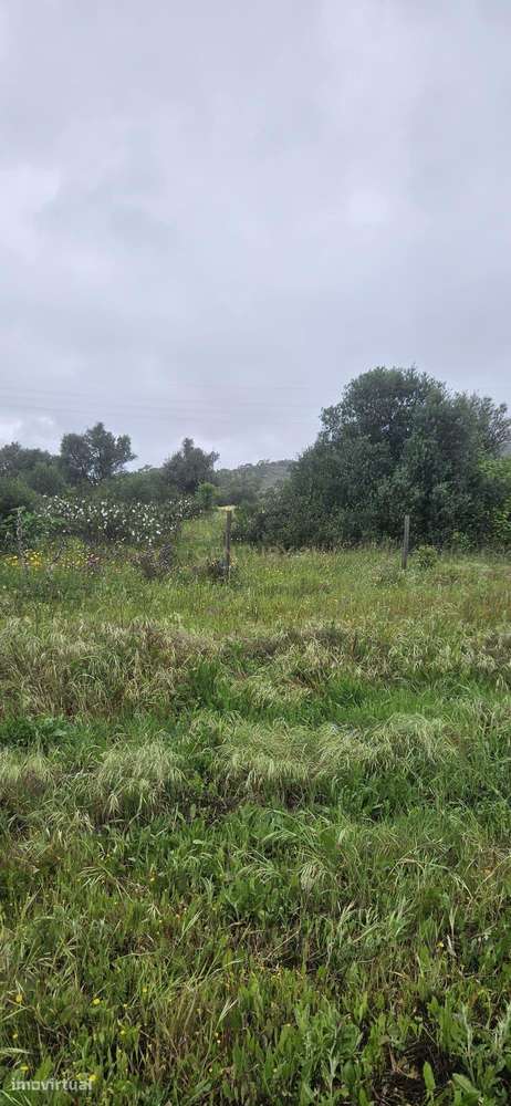Terreno rústico com 2.750 m² (0,275 ha), localizado na zona de Canafec - Grande imagem: 3/8