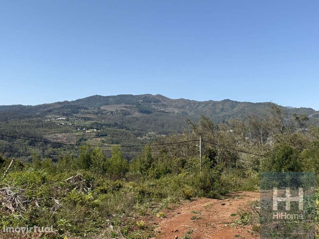 Terreno Rústico no Santo António da Serra, Santa Cruz - Grande imagem: 3/9