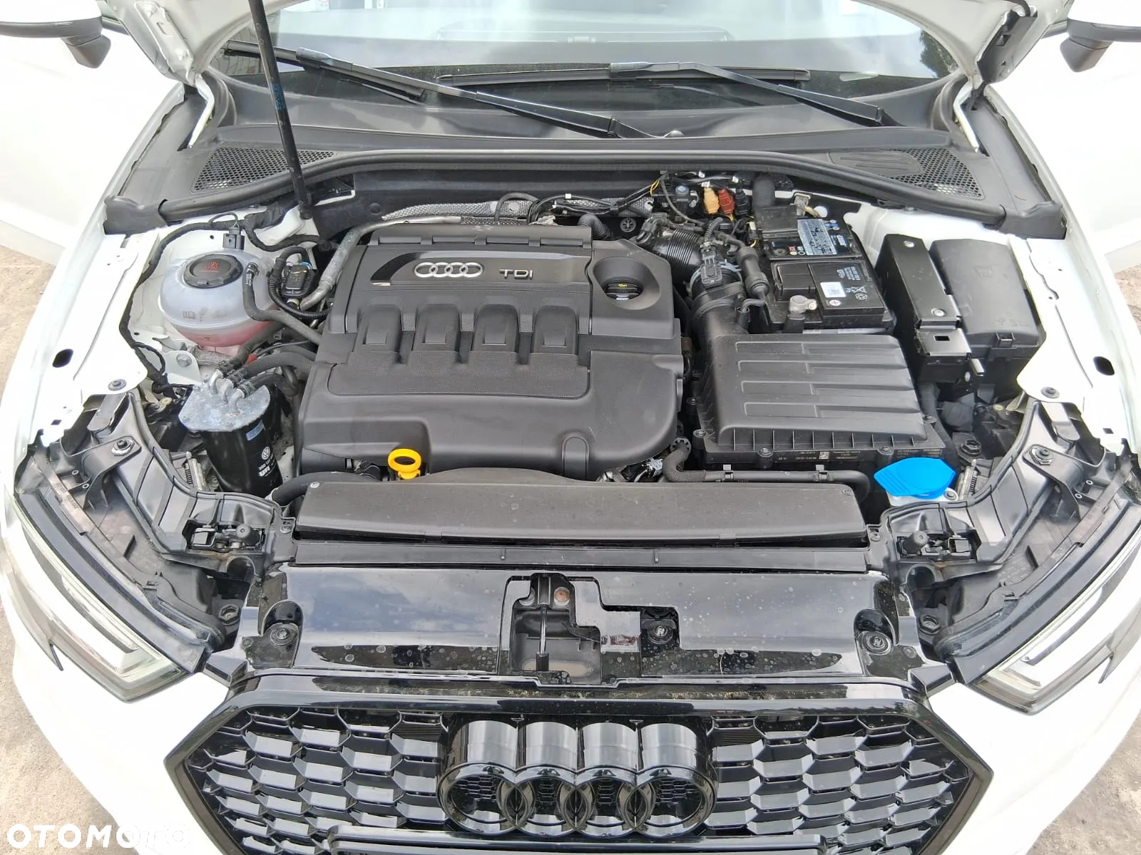 Audi A3 1.6 TDI Sportback sport - 14