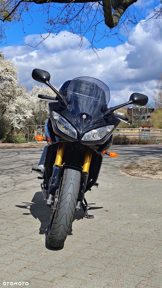 Yamaha FZ8 - 13