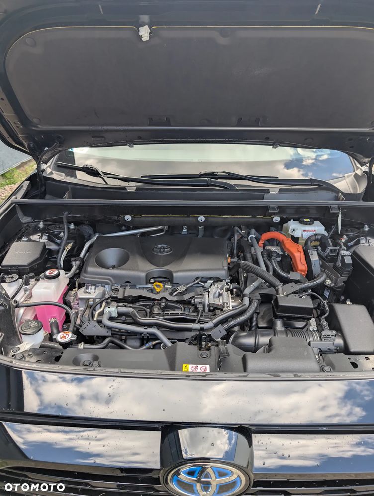 Toyota RAV4 - 18