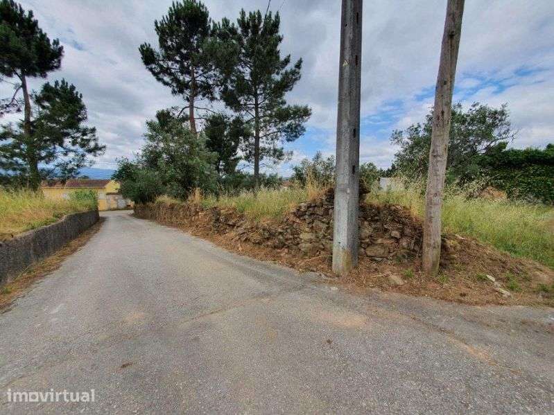 Terreno p construção 1600m2 Pinheiro – Poiares - Grande imagem: 5/8