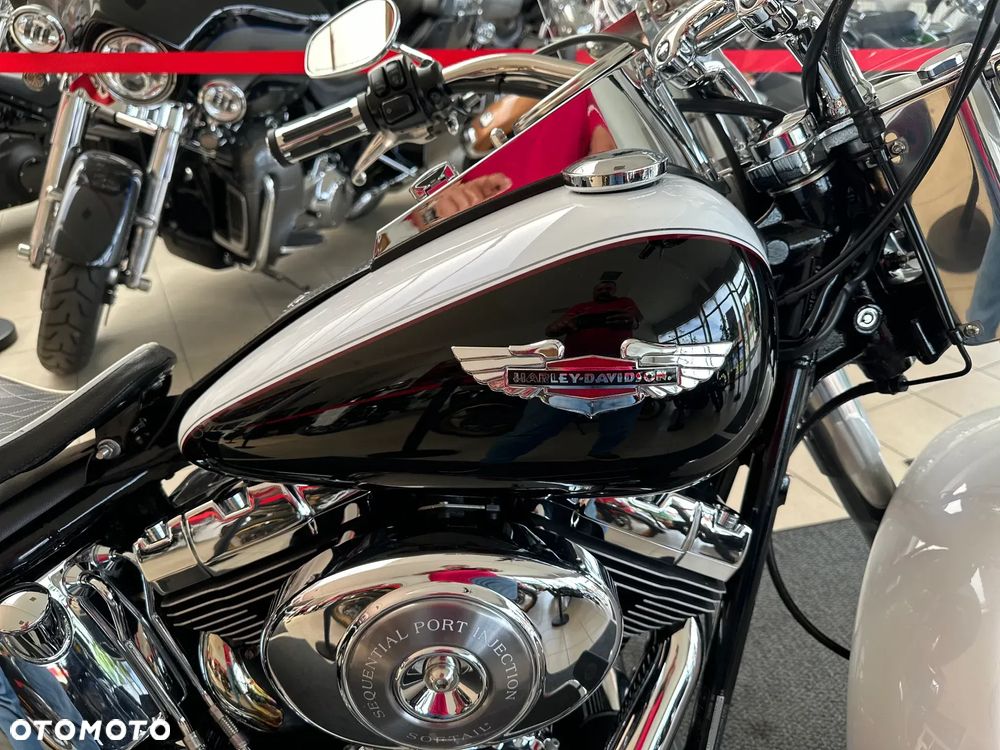 Harley-Davidson Softail - 14