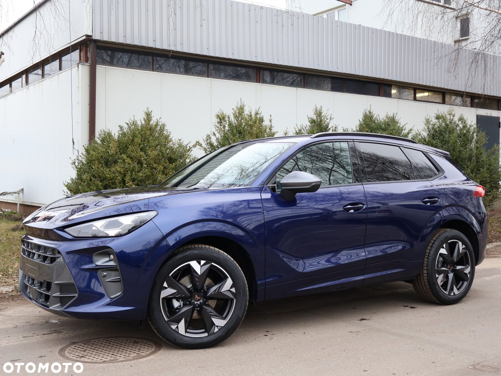 Cupra Terramar 1.5 eTSI mHEV DSG - 3