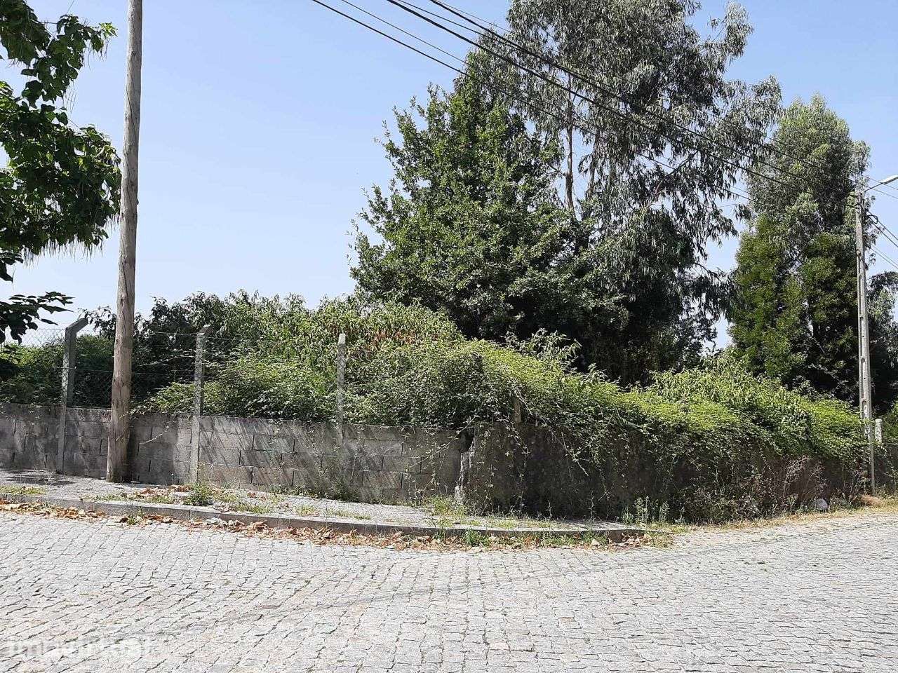 Arrenda Terreno São Tiago Penafiel - Grande imagem: 2/13