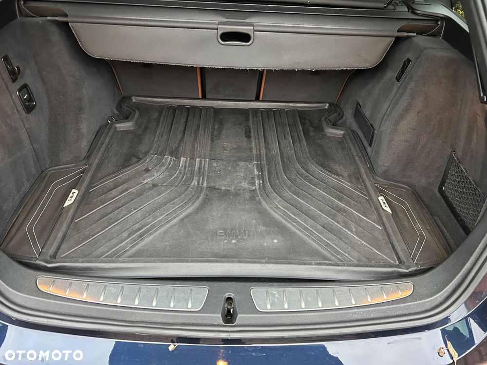 BMW Seria 3 318d Blue Performance Luxury Line - 15