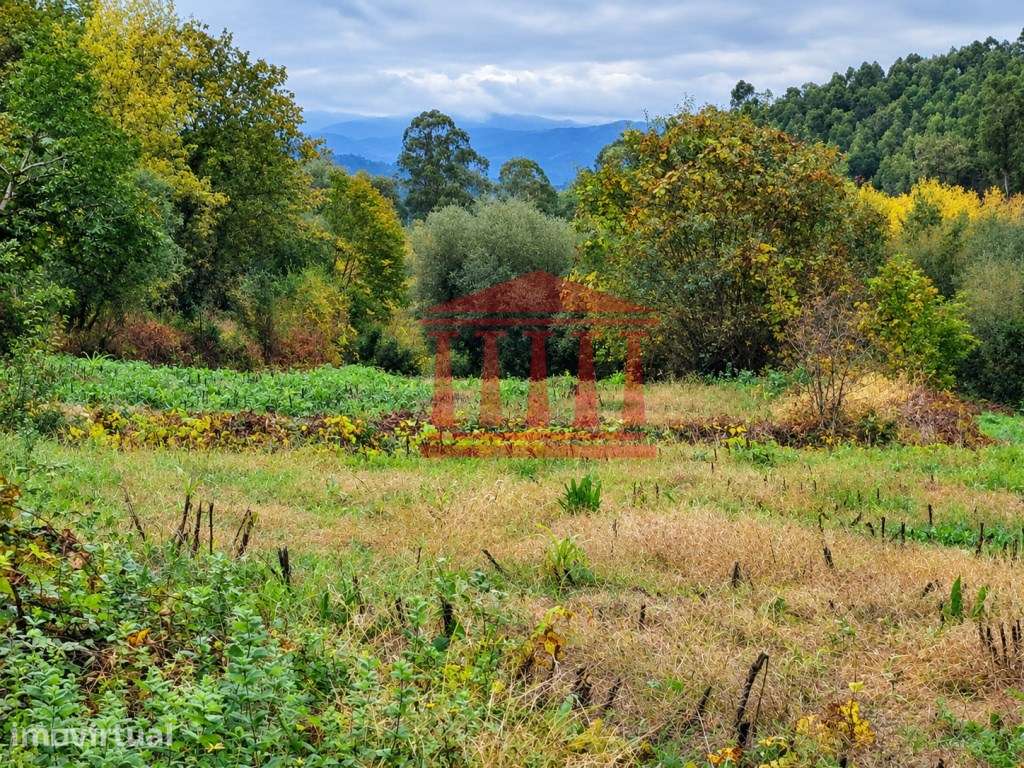 TERRENO AGRÍCOLA PARA VENDA EM PARADA DE GATIM - VILA VERDE - Grande imagem: 3/3