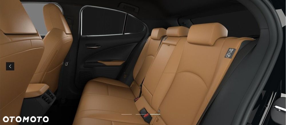 Lexus UX 250h GPF F Sport Design 2WD - 4