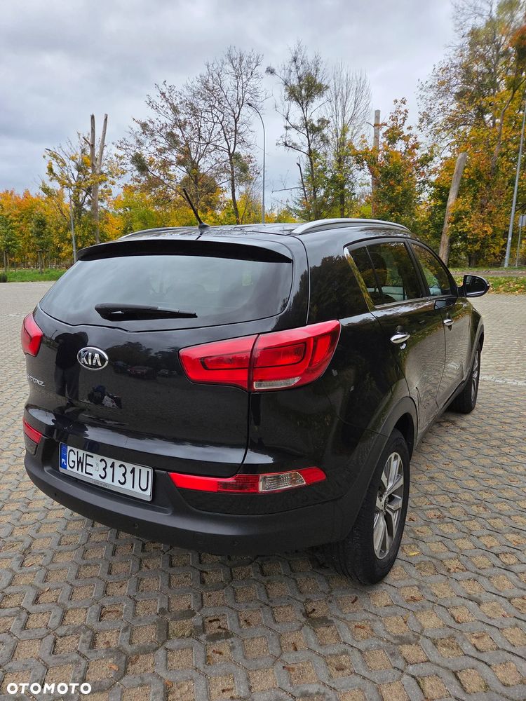 Kia Sportage 2015 photo 3