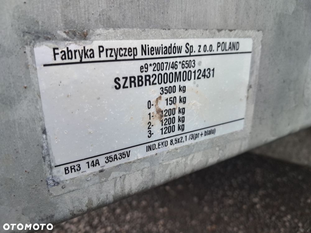 Niewiadów Boro - 20