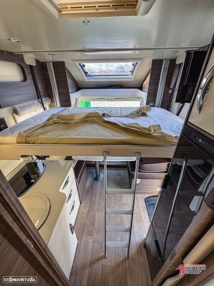 McLouis Yearling 72g c.central e basculante - 20