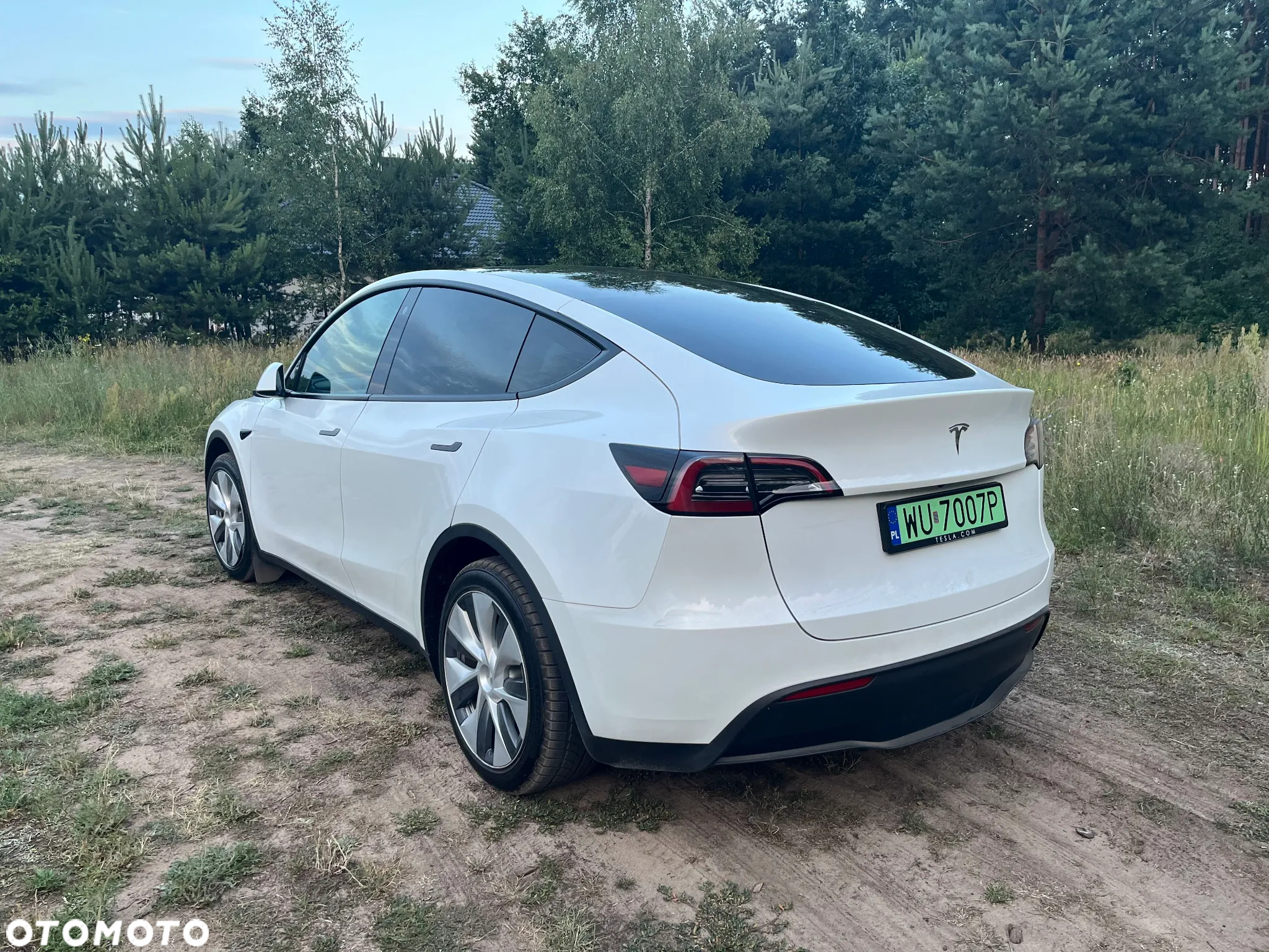 Tesla Y Long Range RWD - 3