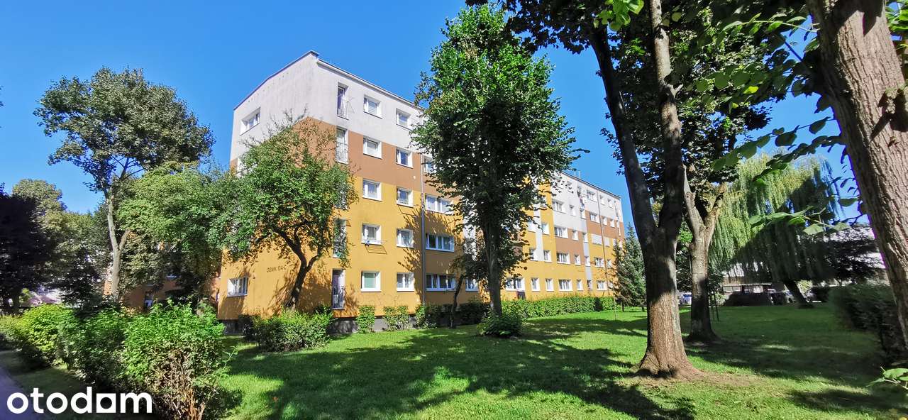 Grunwald,ul.Ognik, 2 pok, Niski blok! OD ZARAZ!ZADBANE!