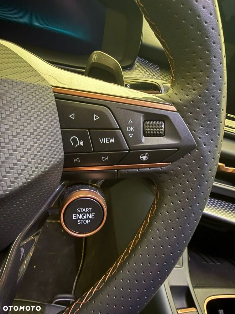 Cupra Terramar - 12