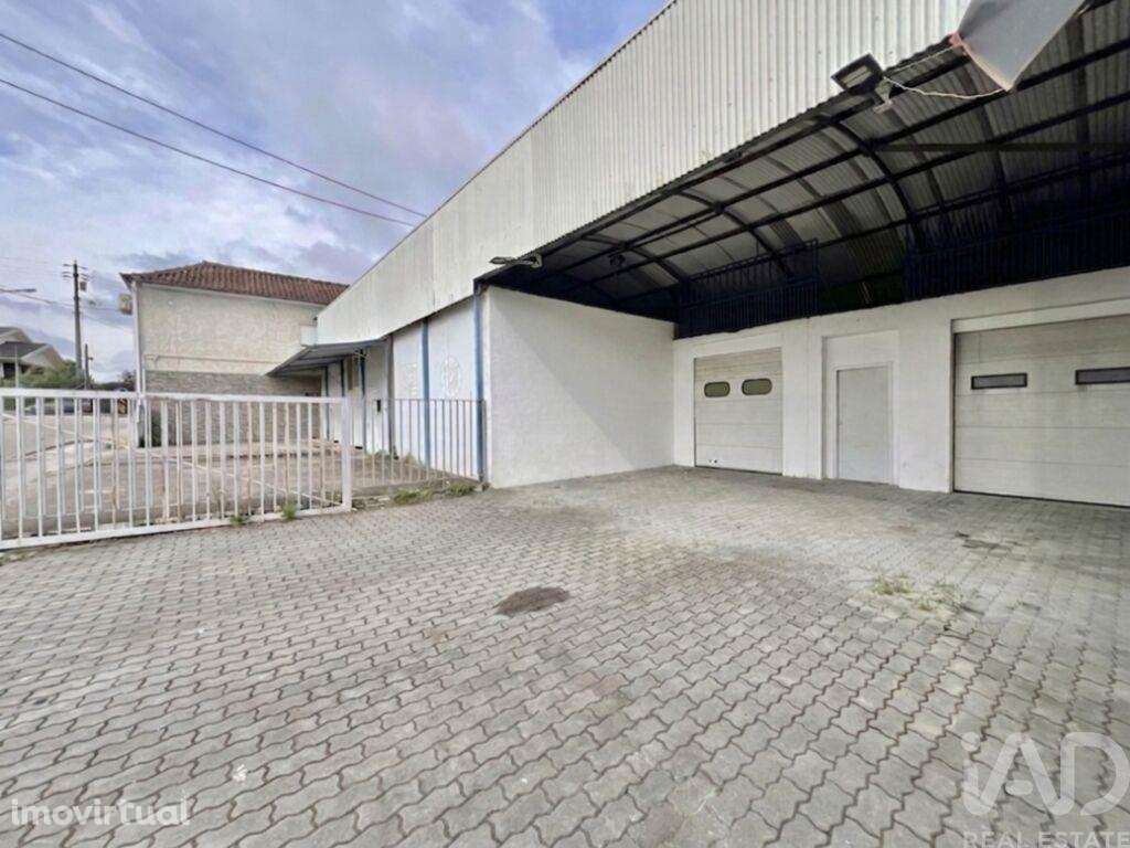 Loja / Estabelecimento Comercial em Campo de Besteiros de 317,00 m2 - Grande imagem: 4/30