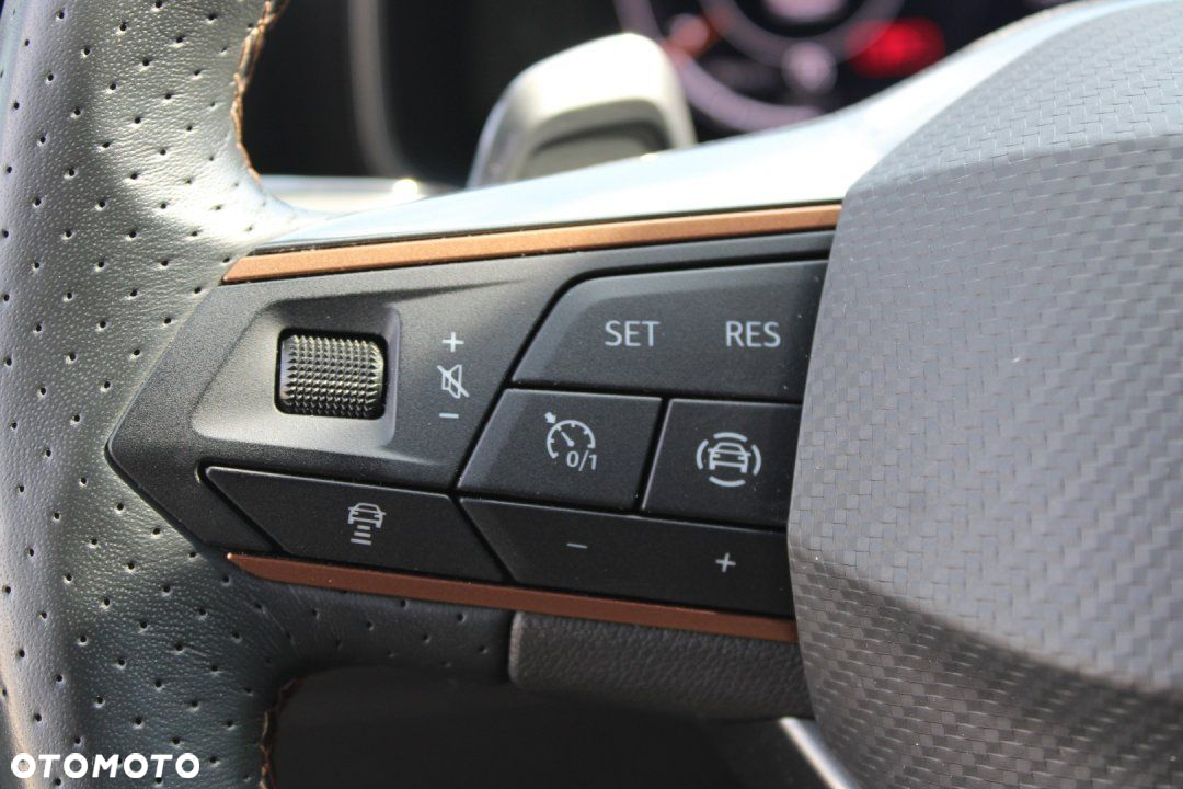 Cupra Formentor - 31