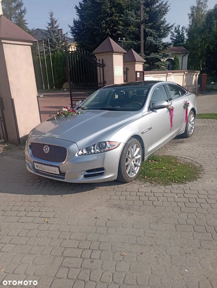 Jaguar XJ 3.0 V6 Kompressor Portfolio - 13