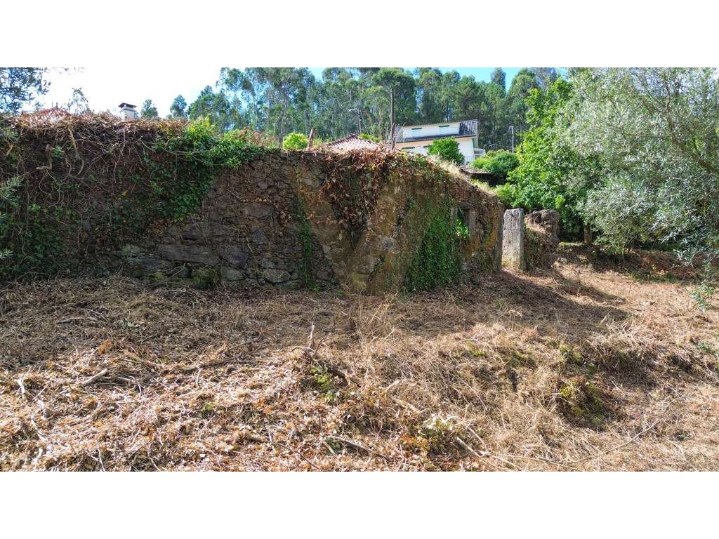 Propriedade com Ruína- Anais Ponte de Lima - Grande imagem: 3/7