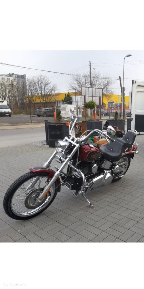 Harley-Davidson Softail Custom - 2