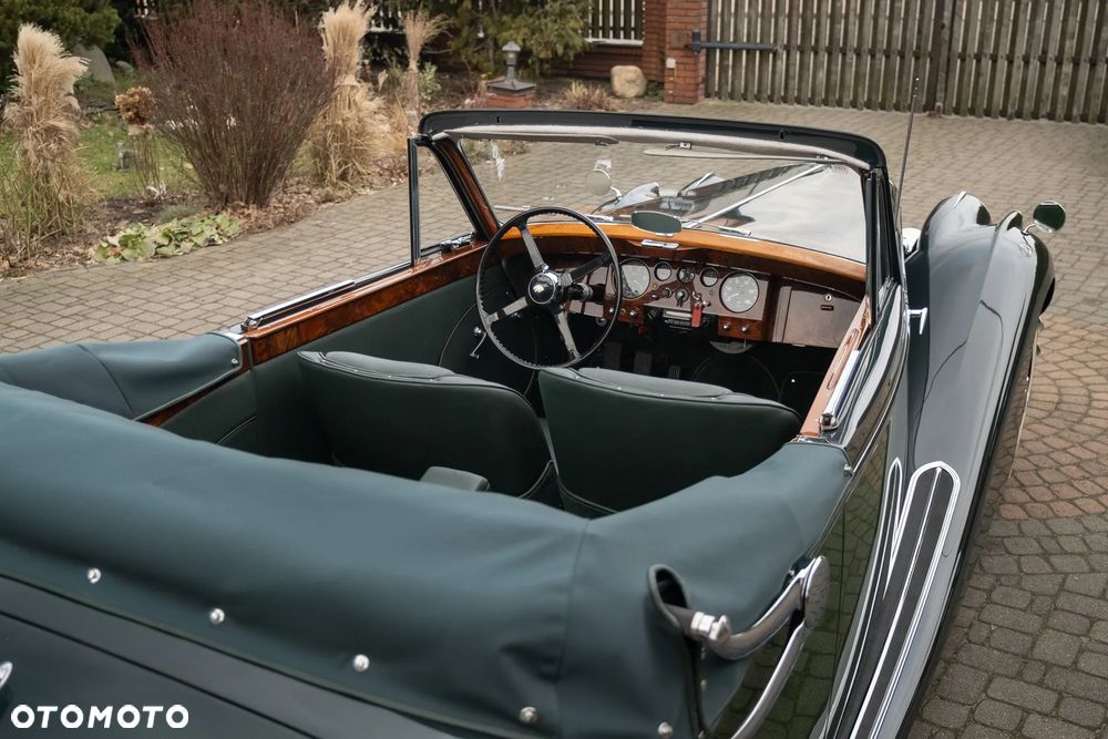 Jaguar Inny - 19