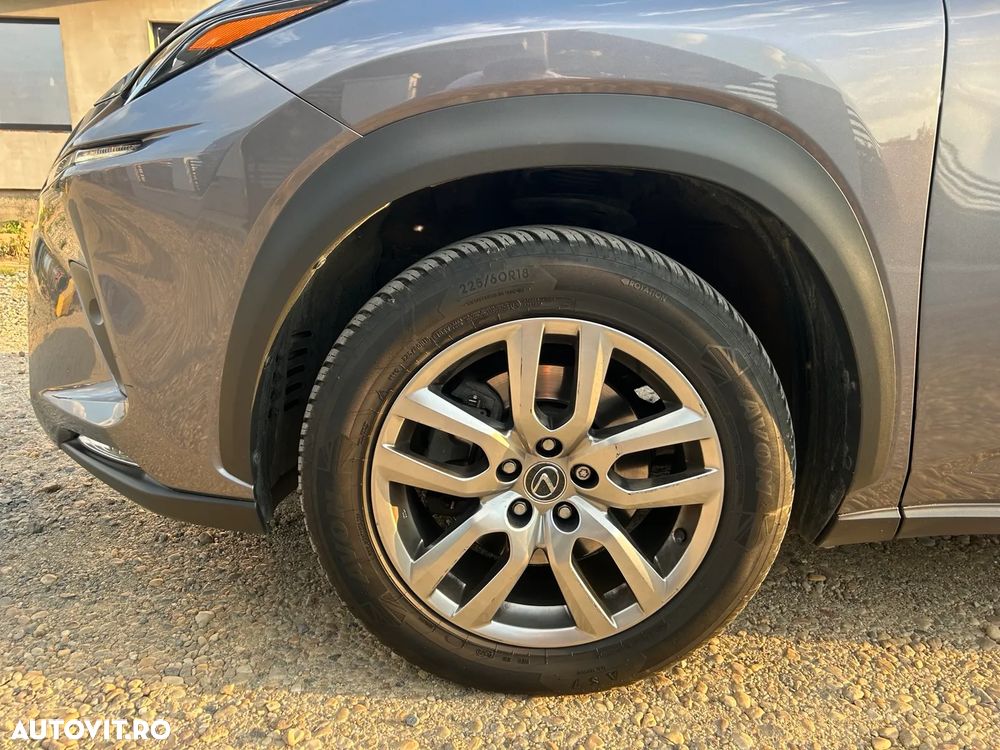 Lexus Seria NX 300h AWD Executive Plus - 7