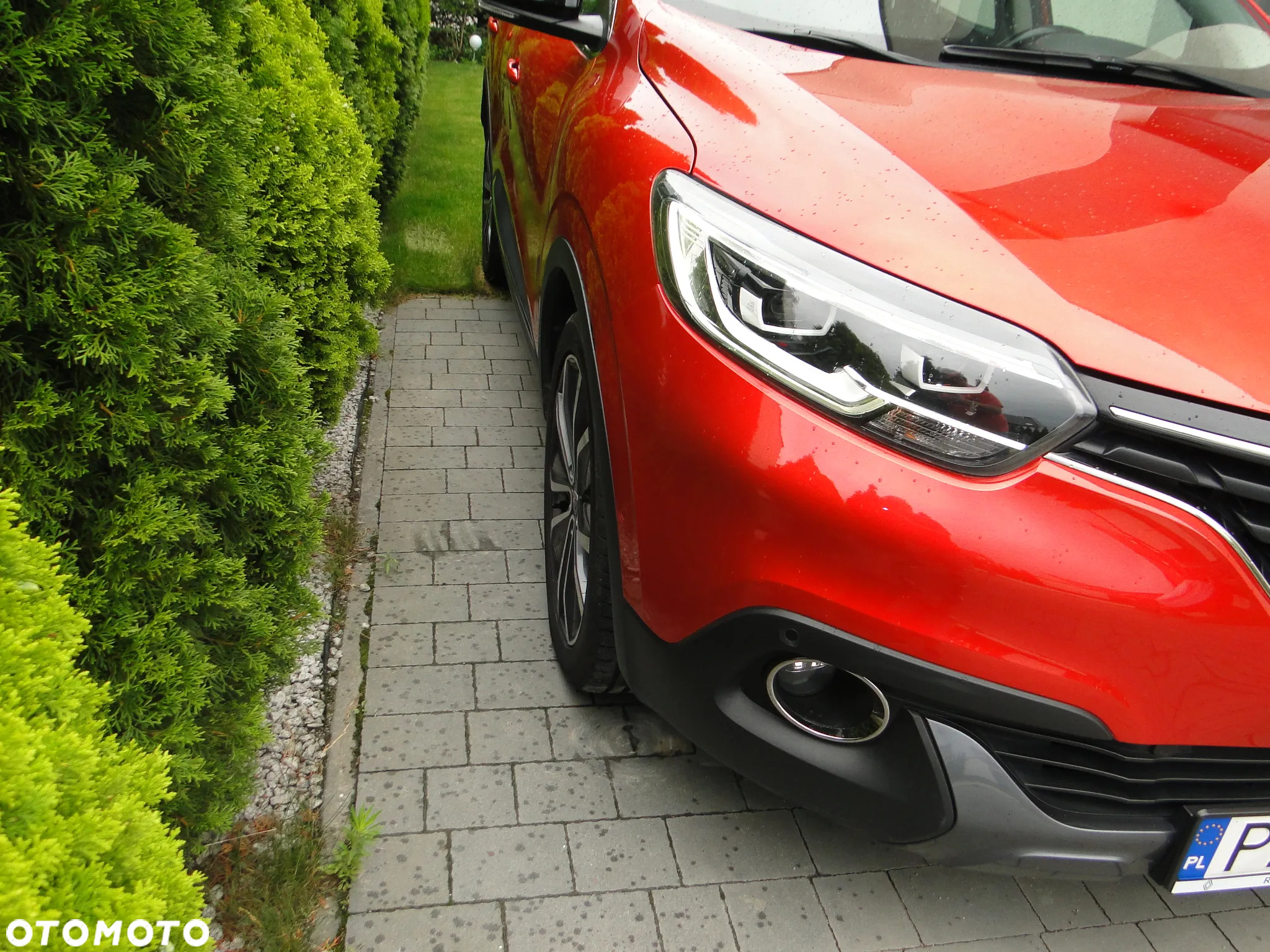 Renault Kadjar 1.6 dCi Energy Intens - 10