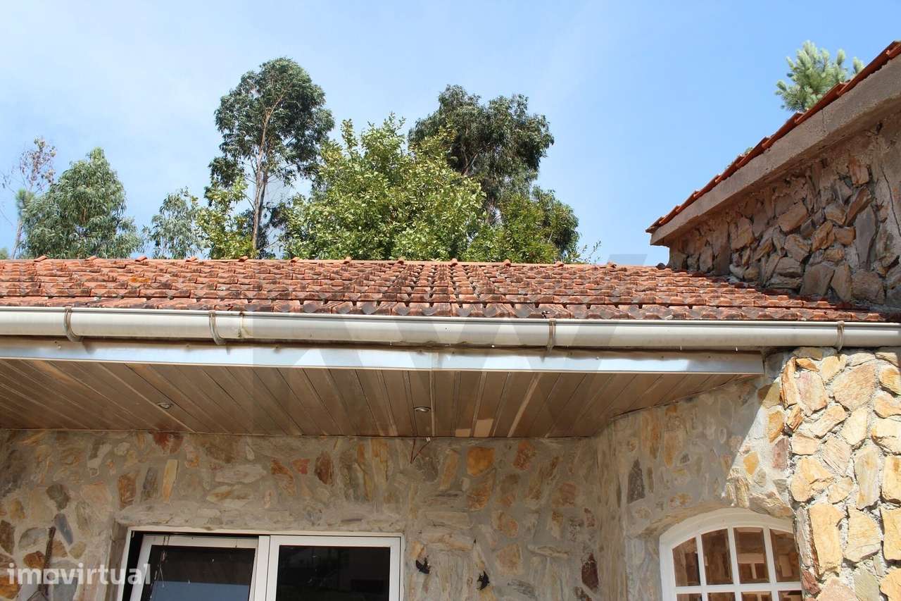 Terreno com Viabilidade de Construção junto às Termas de S. Pedro do S - Grande imagem: 2/22
