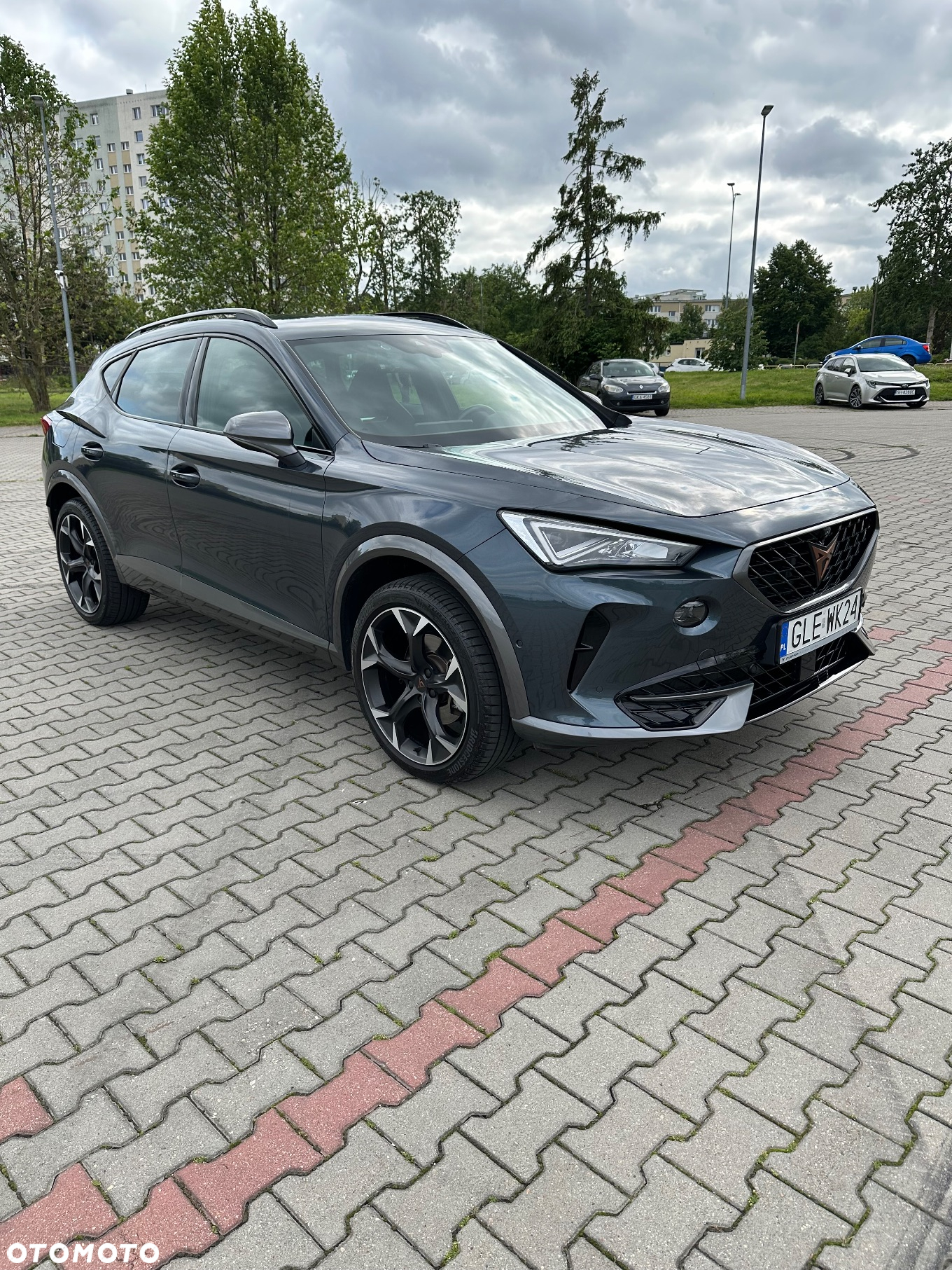 Cupra Formentor 1.5 TSI DSG - 2
