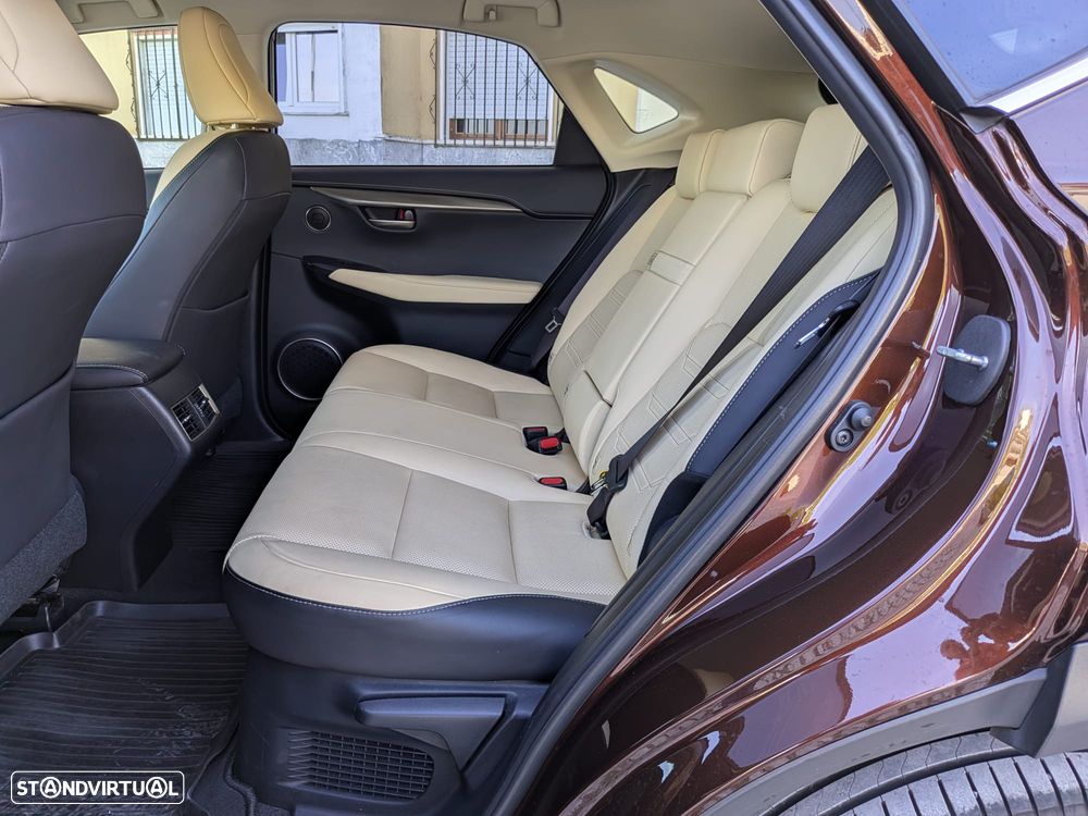 Lexus NX 300h Executive+ - 22