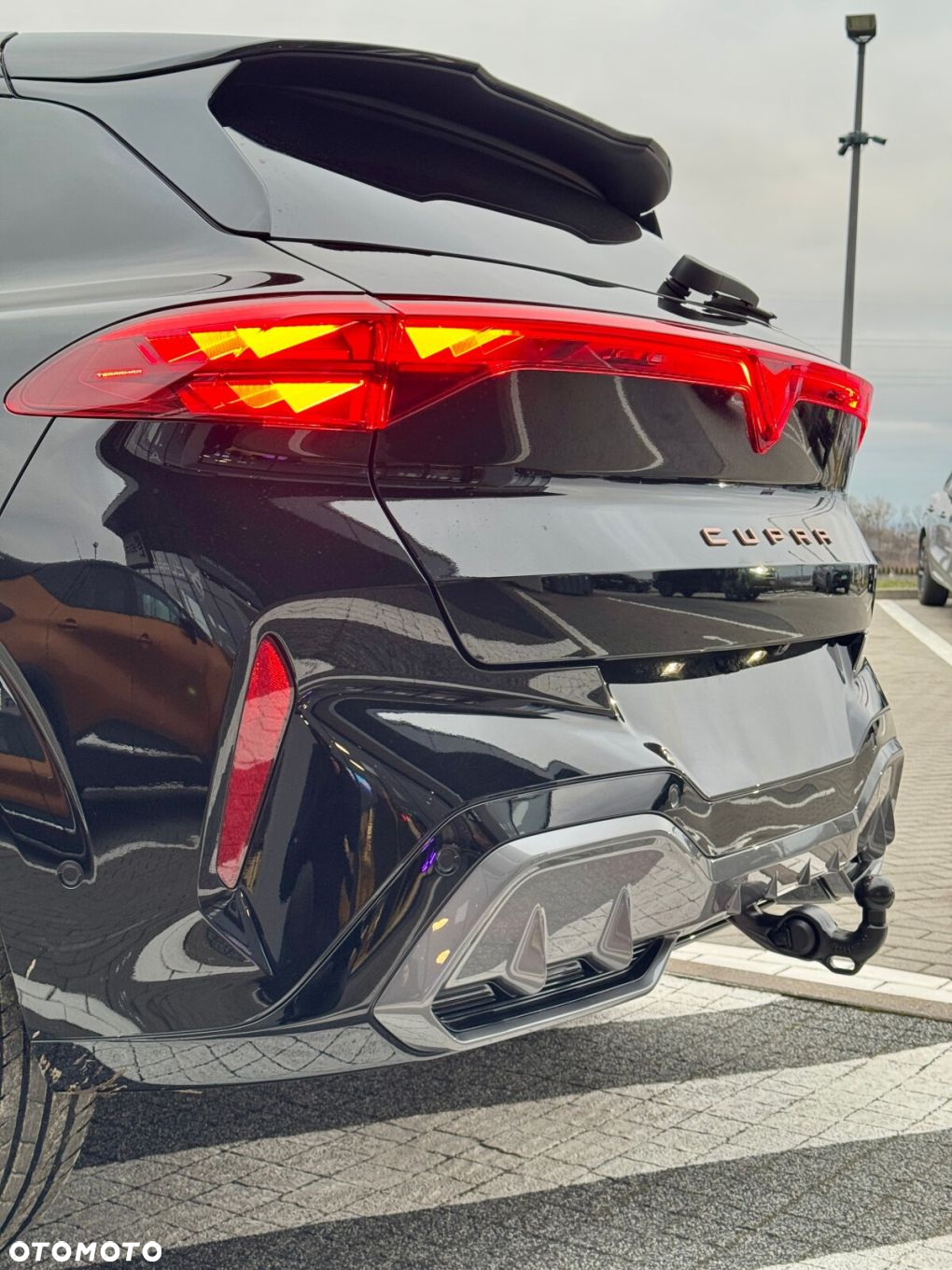 Cupra Terramar - 6