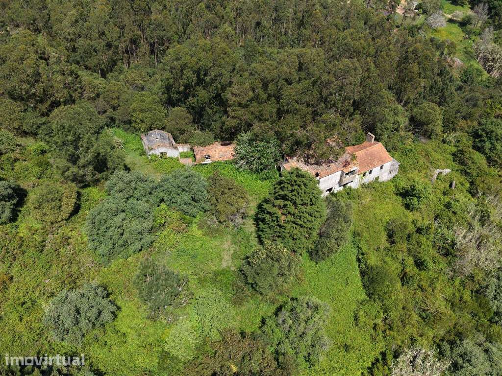 Herdade localizada na Serra da Boa Viagem na Figueira da Foz - Grande imagem: 4/8