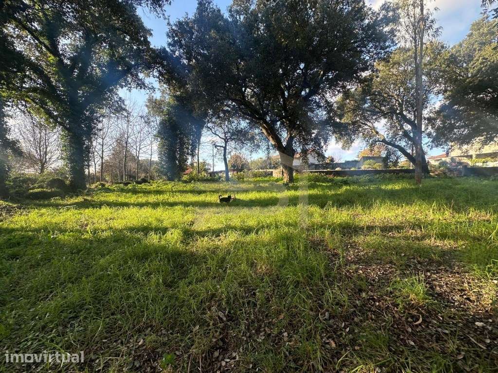Vende-se terreno de construção com 6.400 m2 em Areias. - Grande imagem: 4/13