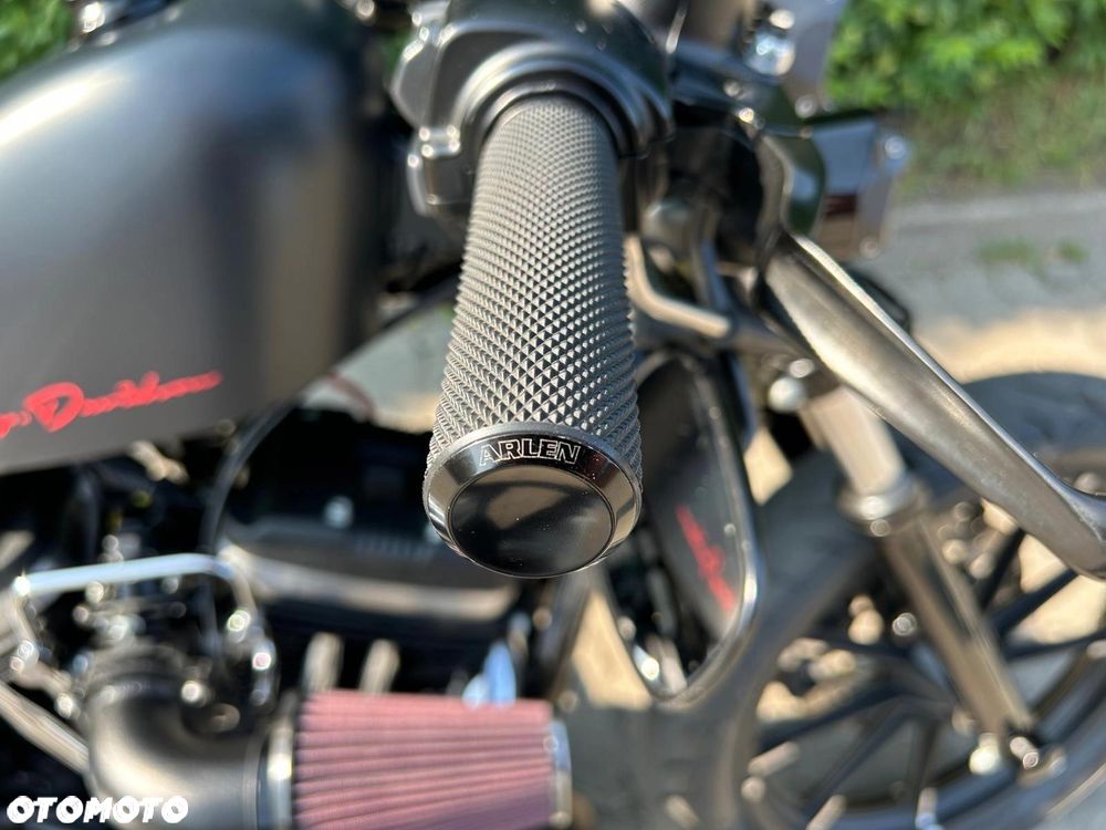 Harley-Davidson Sportster Iron 883 - 6