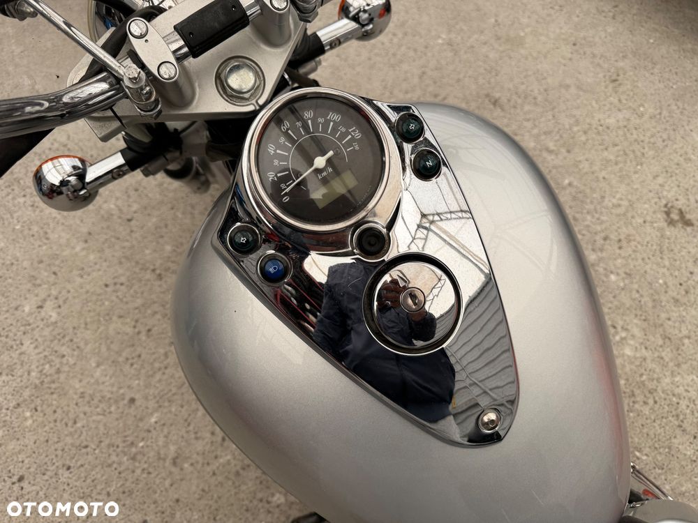 Suzuki Intruder - 18