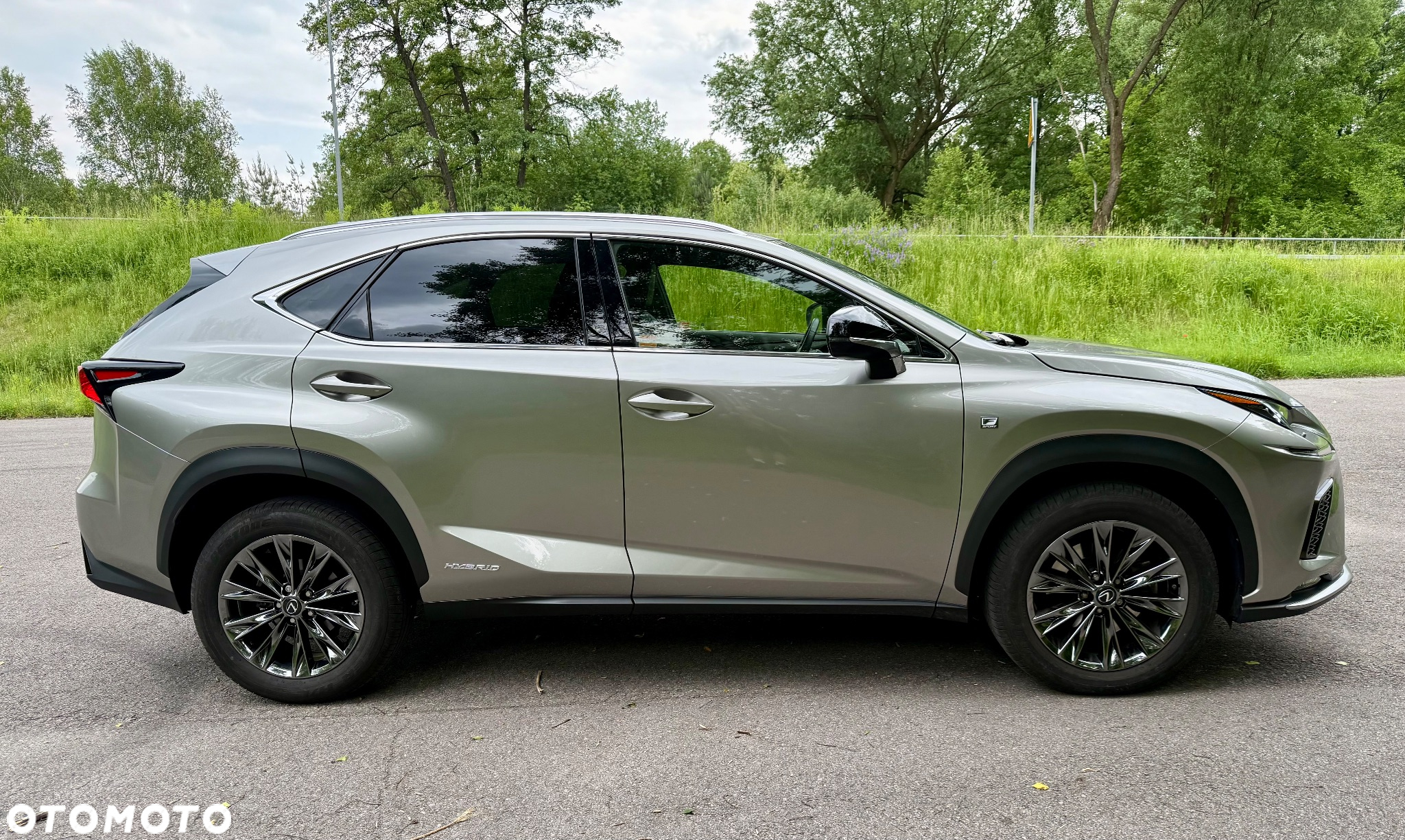 Lexus NX 350h F Sport AWD - 3