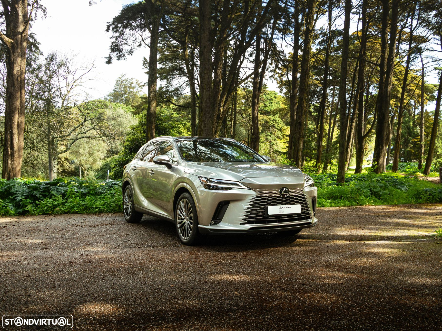Lexus rx-450h - 8