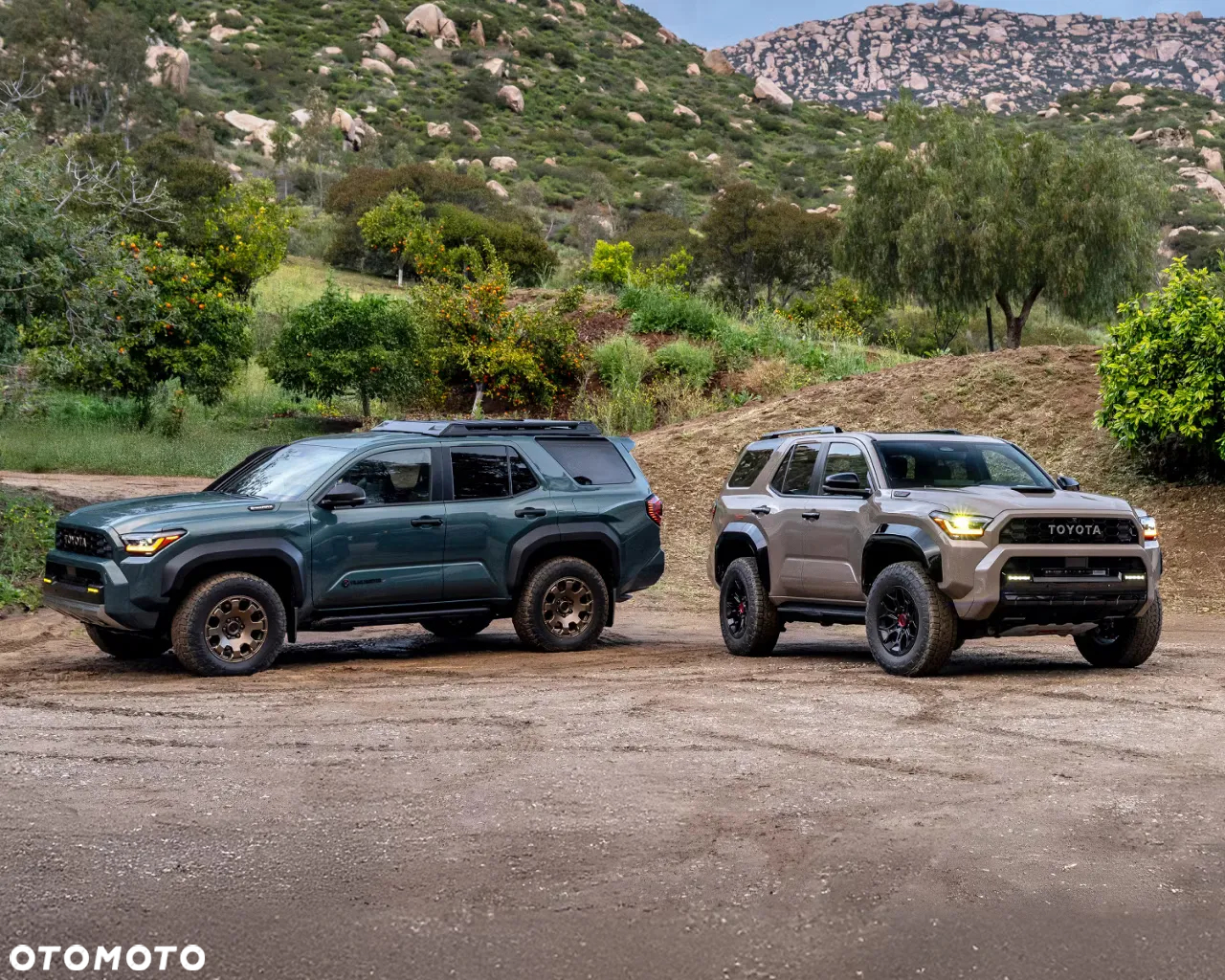 Toyota 4-Runner - 4