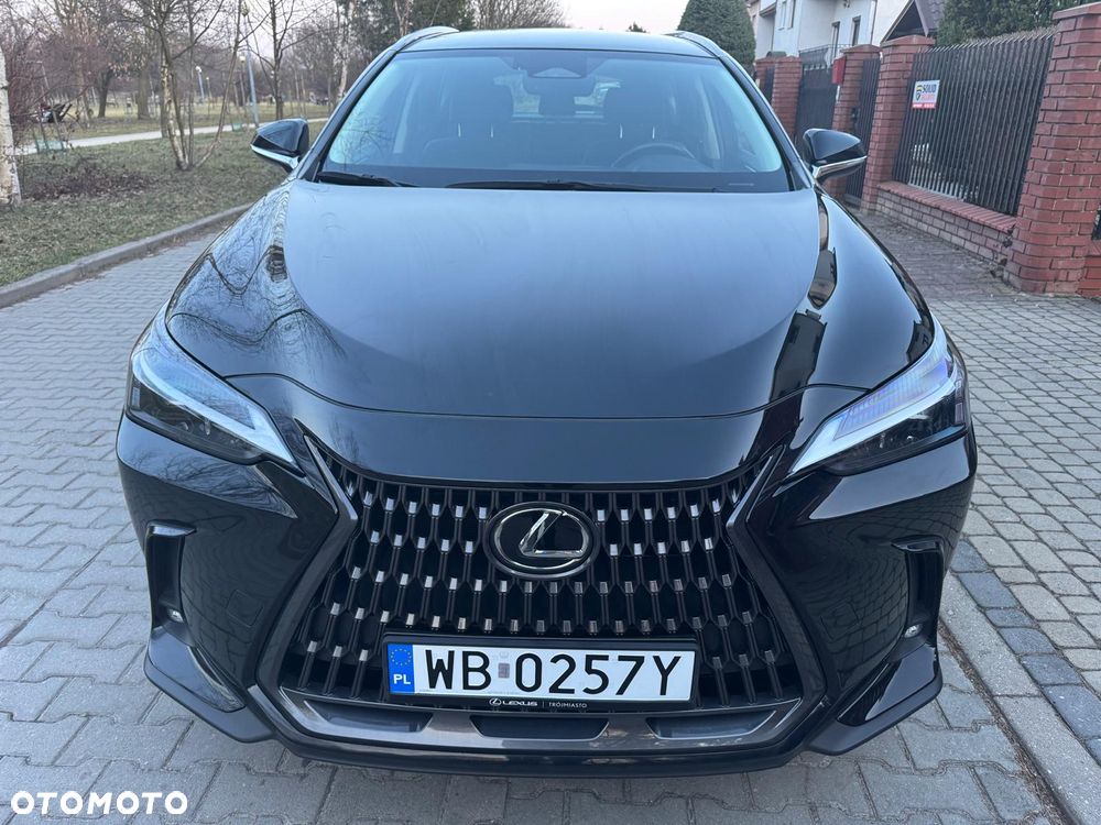 Lexus NX - 14