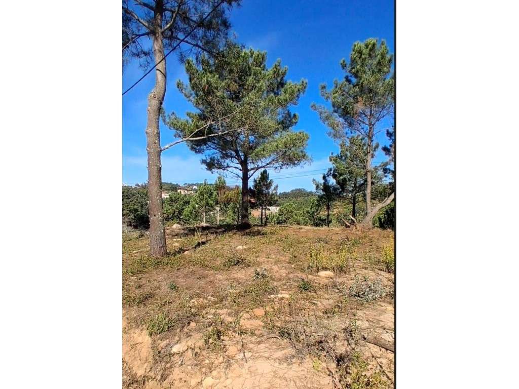 Mafra - Ericeira - Terreno para moradia com vista sobre o vale - Grande imagem: 4/9