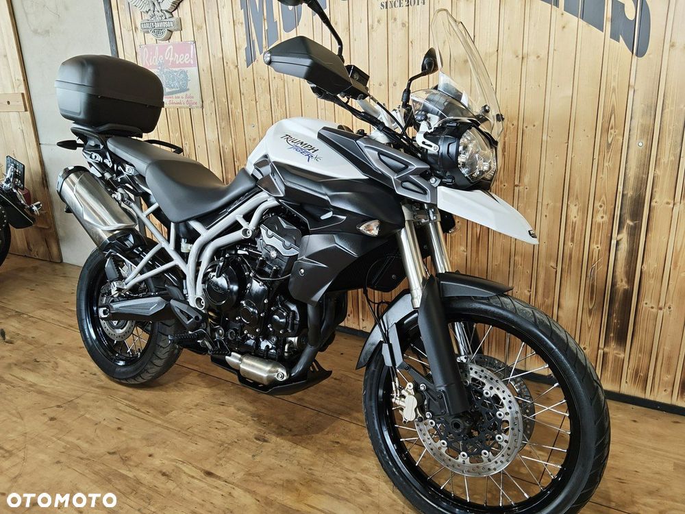 Triumph Tiger - 19