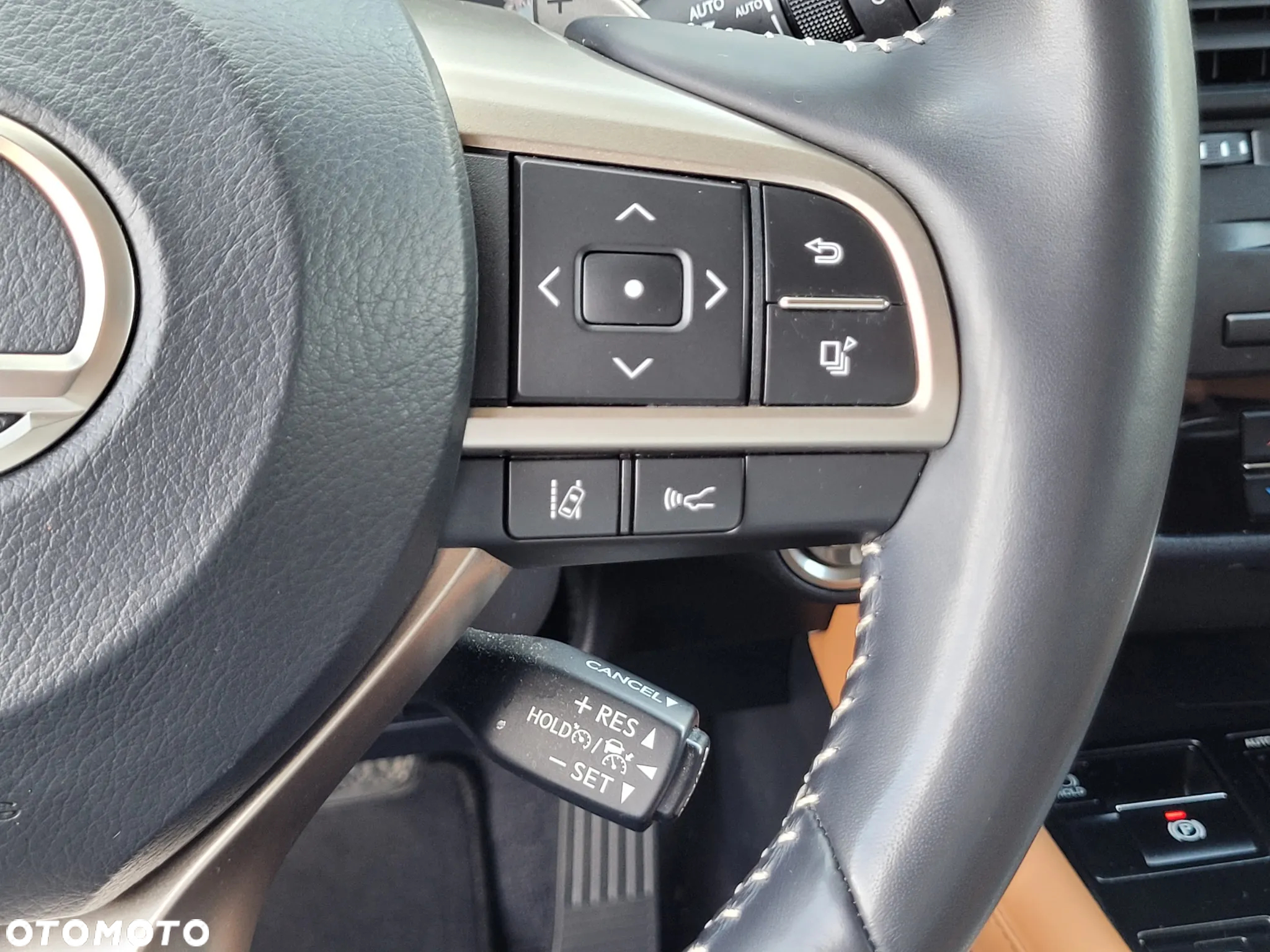 Lexus RX 300 Business Edition + - 30