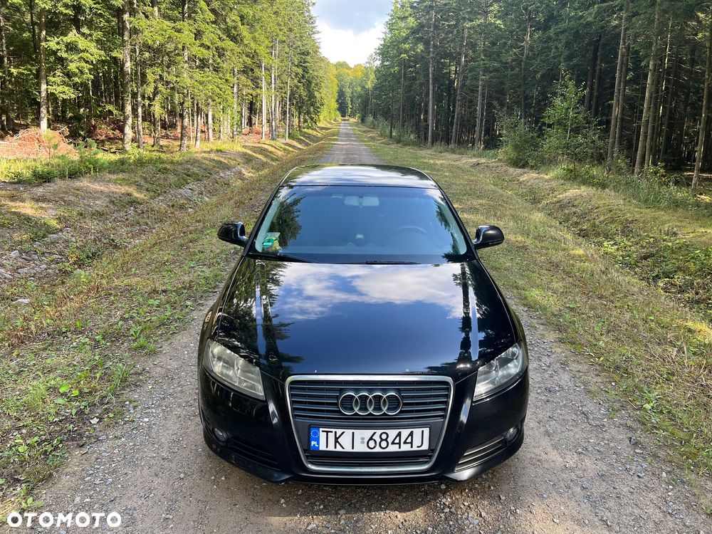 Audi A3 Sportback 1.9 TDI DPF Attraction - 12