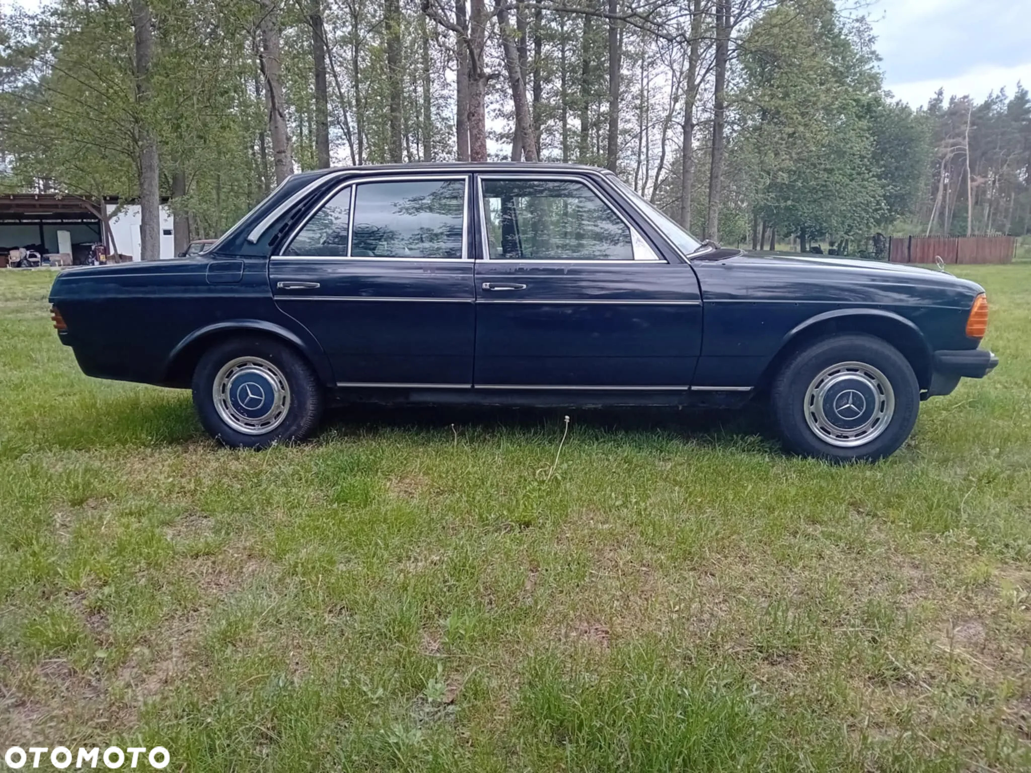 Mercedes-Benz W123 - 3