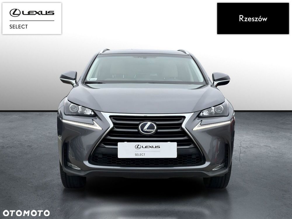 Lexus NX 300h Comfort AWD - 8